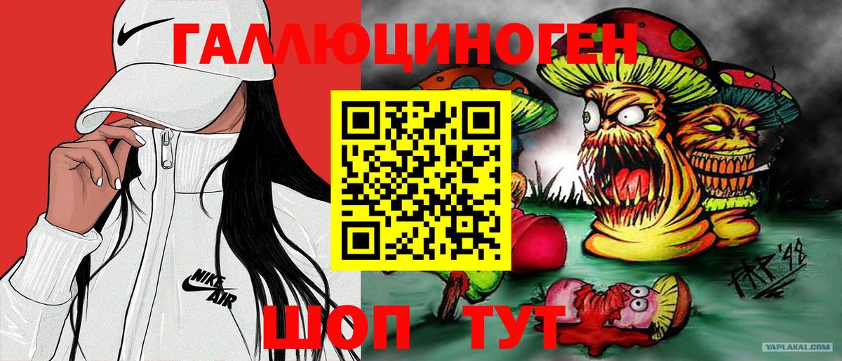 Псилоцибиновые грибы Psilocybine cubensis Усинск