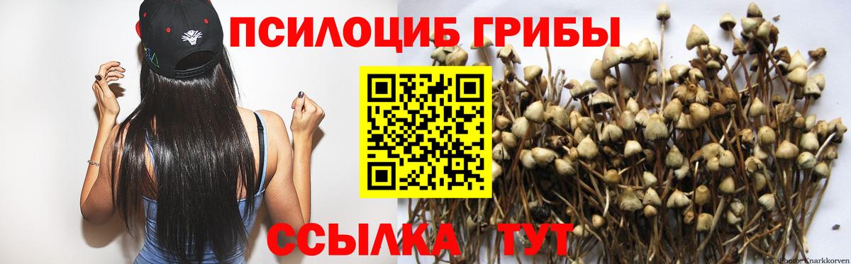 Галлюциногенные грибы Psilocybe  Вход с VPN  Усинск 